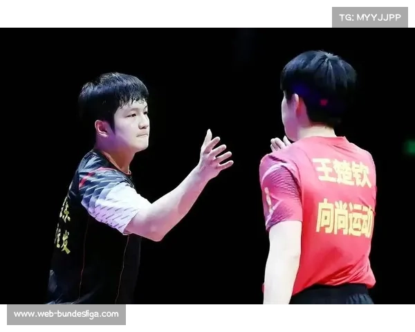 欧洲大满贯消耗过大 主力球员转战乒超恢复状态